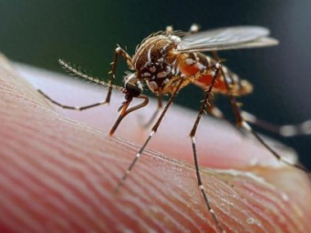 佛山这场大战，还要打多久？