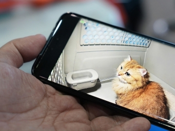 实地探访成都东站高铁宠物托运首单，这份攻略请收好