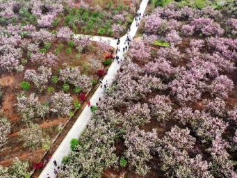 仁寿：农旅融合绘就乡村振兴“新画卷”